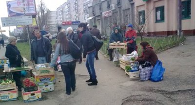 Історія про Володю із Калинкою та сакурою