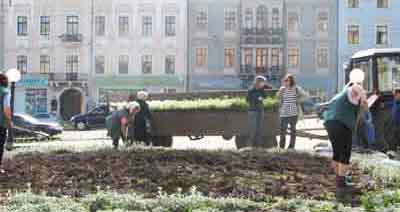 У Чернівцях центр засаджують квітами