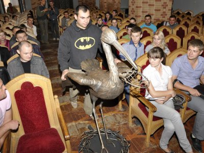 У Чернівцях з‘явився 60-кілограмовий лелека (ФОТО)