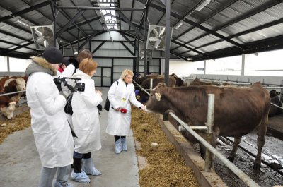 На Буковині відкрили молочний комплекс за 30 мільйонів