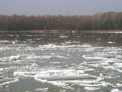 У протипаводкові заходи на Буковині вкладуть 1,3 мільйона євро