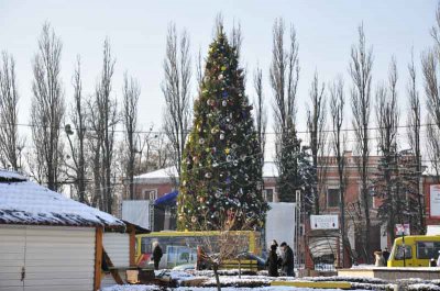 Новорічну ялинку в Чернівцях закриють 20 січня