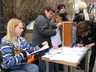 У Чернівцях відбувся марш на захист тварин