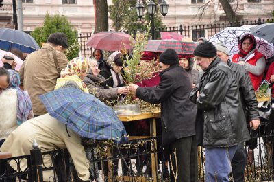 Вербна неділя у Чернівцях