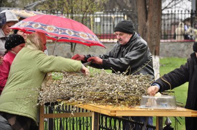 Вербна неділя у Чернівцях