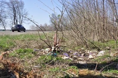 Узбіччя траси при виїзді з Чернівців перетворюють у смітник