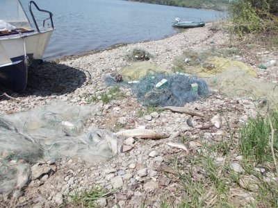 Рибалки зібрали на водосховищі 5 кілометрів браконьєрських сіток