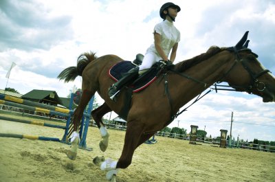 У Реваківцях відбулися змагання з конкуру «Буковина Horse Tour»