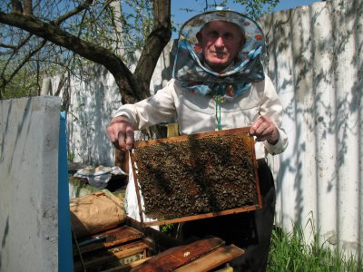 «Завдяки бджолам почуваюся молодим»