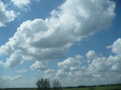 На Буковині до вівторка дощу не буде