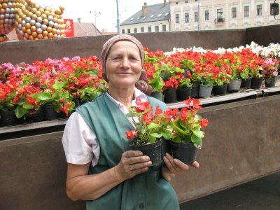 На Центральній площі Чернівців з'являться клумби-м‘ячі до Євро-2012