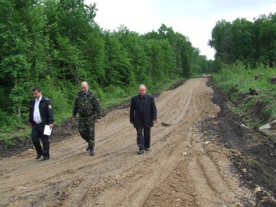 Чистий прибуток лісгоспів Буковини - 1,7 мільйона