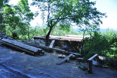 У лісі на Цецино в Чернівцях зрубують дерева – мешканці обурюються