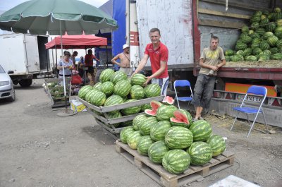 На ринках уже продають кавуни та дині