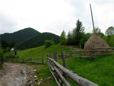 У буковинських Карпатах поменшало відпочивальників