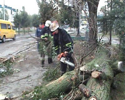 Негода у Чернівцях повалила дерева та позривала дахи на будинках та поліклініці