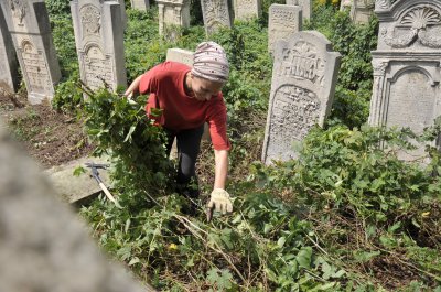 Волонтери з Фінляндії, Ірландії, Іспанії та Чехії прибирають цвинтар у Чернівцях