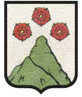 Найстаріший район Чернівців матиме герб з брамою і трояндами