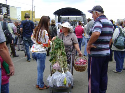 На Калинці Забужко заробила склянку малини, а Померанцев потратився на шкарпетки