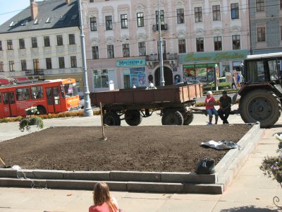 «Футбольну квітку» в Чернівцях розібрали і подарують школярам