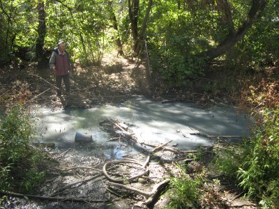 Забруднену річку на Буковині ніхто не очищує