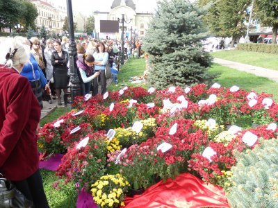 Із квітів виклали надпис «Чернівці - серце Буковини»