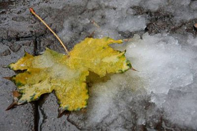 В Україні прогнозують мокрий сніг