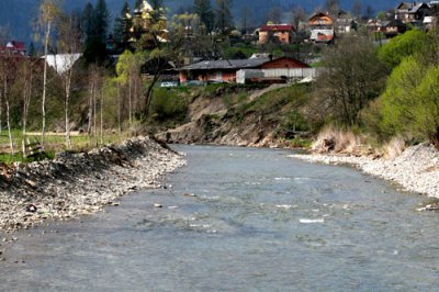 У Пруті біля Ворохти виявили розлиту ртуть