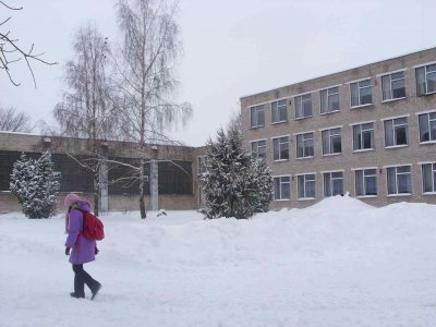 У 88 школах Буковини припинено навчання