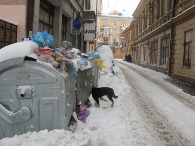 Через "сніговий параліч" у Чернівцях не вивозиться сміття