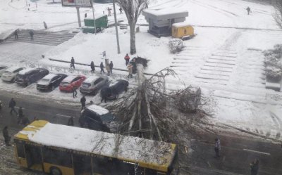 У центрі Києва на людей падають дерева та конструкції