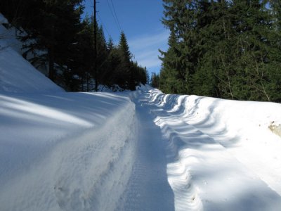 Снігом замело півсотні буковинських сіл