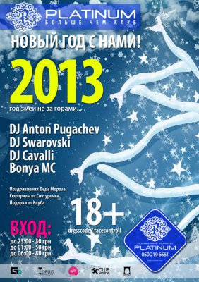 Новий рік 2013