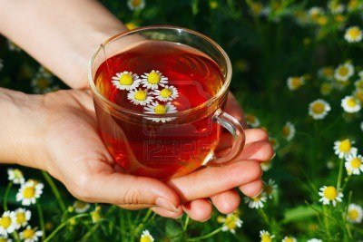 На святі гуцульського чаю ділилися рецептами від хвороб
