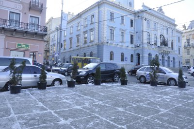 Центральну площу у Чернівцях від водіїв перекрили туями