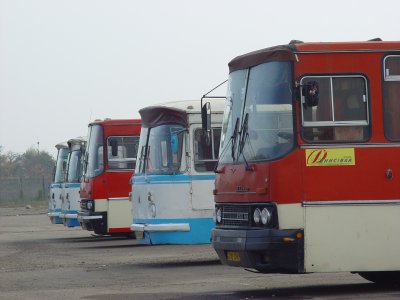 На Буковині 2 тисячі автобусів виявилися несправними