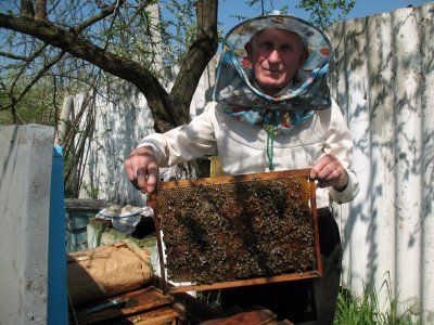 Для туристів організують медові тури Буковиною