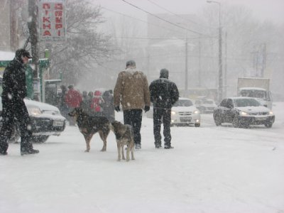 На Тернопільщині троє людей загинуло від переохолодження