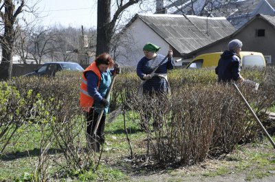 З Чернівців вивезли 2 тисячі кубічних метрів сміття