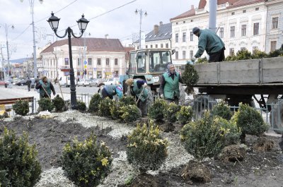 Комунальники прикрашають площі міста