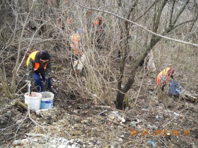 Буковинців закликають на суботник