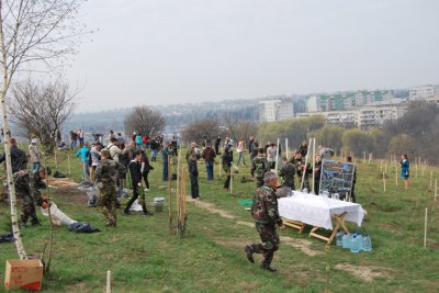 Папієв проігнорував толоку, а Галиць садив ялинки і ставав до фотографії з лопатою