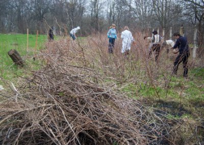 За сміття чиновників оштрафували на 7000 гривень