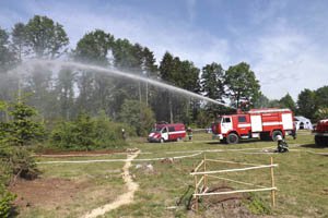 На Буковині тренувалися гасити лісову пожежу