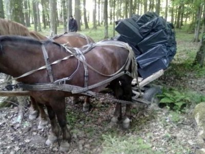 На Буковині контрабандисти перевозять цигарки возами