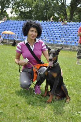 У Чернівцях на виставці собак - китайські хохлаті та бішон фрізе