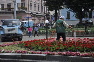 Клумби під ратушею в Чернівцях поливають у зливу