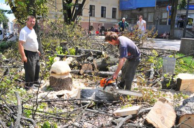 У Чернівцях зі зрізаних дерев роблять пеньки-гриби