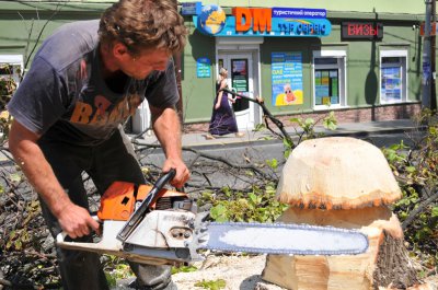 У Чернівцях зі зрізаних дерев роблять пеньки-гриби