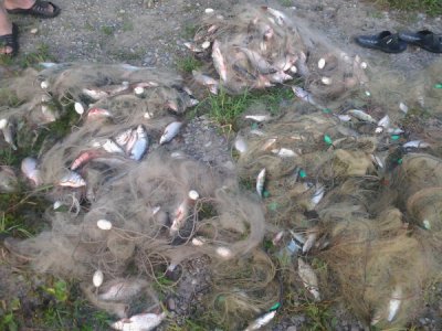 На Дністрі затримали браконьєрів, які наловили риби на 100 тисяч